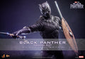 Hottoys Black Panther Legacy 1/6th scale Black Panther (Original Suit) MMS671