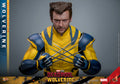 HT Deadpool & Wolverine - 1/6th scale Wolverine Collectible Figure (Deluxe Version) MMS754