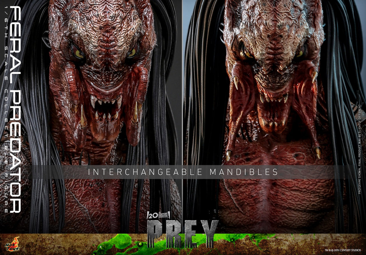 HT Prey 1/6th scale Feral Predator Collectible Figure TMS114